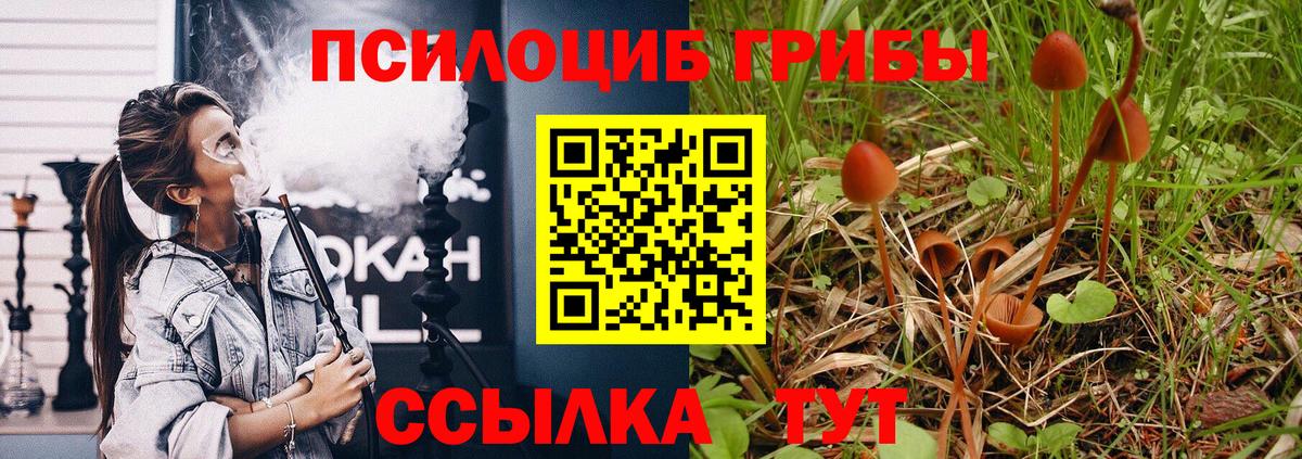 Псилоцибиновые грибы Psilocybine cubensis Борисоглебск